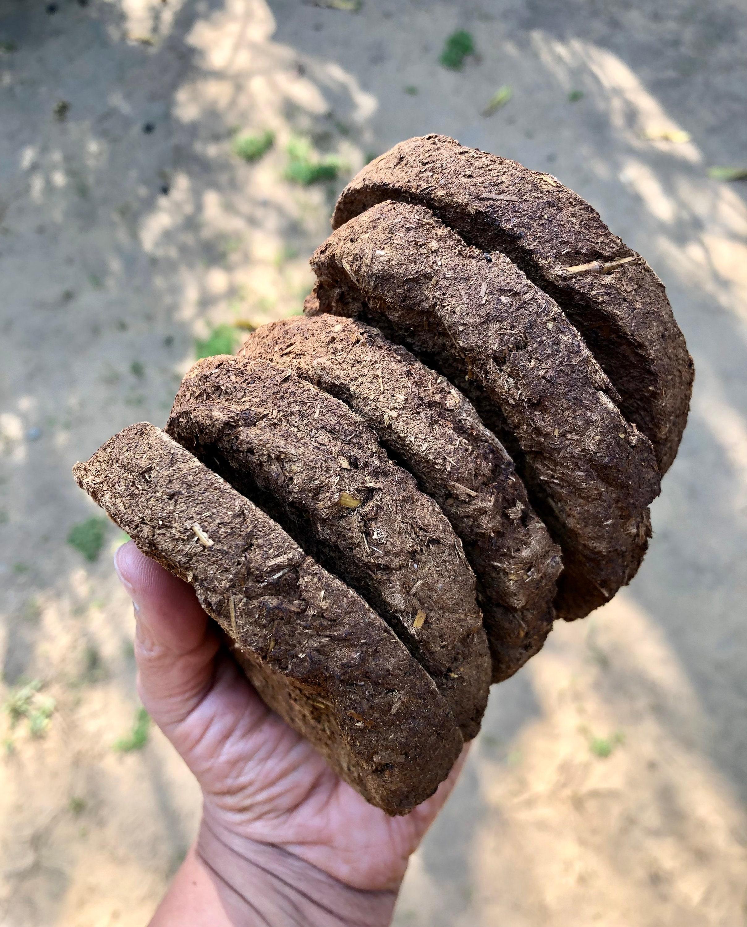 5 Pc 10 cm Big- Indian Origin Desi COW DUNG CAKE Gobar Upale Kande 180 gm- Hawan Havan Yagya Agnihotra Religious puja Handmade Traditionally Pack of 1