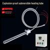 High Power Explosion-Proof Submersible Heater