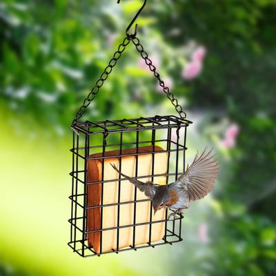 Bird Suet Cake Feeder Garden Cage Square with Chain Feeding Station Outdoor Hanging for Lawn