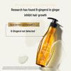 Ziyuan Ginger Anti-Hair Loss Oil Control Shampoo