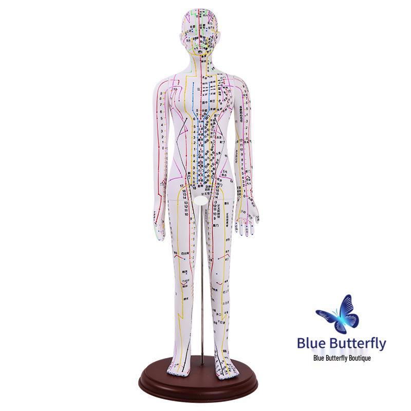 Ultra-Clear Silicone Model: Acupuncture & Meridians Teaching for Tuina Massage Practice