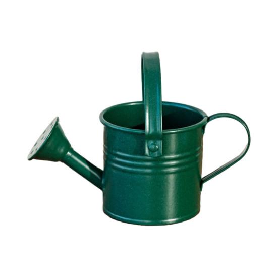 Metallgießkanne mit Brausekopf Langer Auslauf Gießkanne Kleine Gießkanne Indoor-Gartengerät für Zuhause Balkon Terrasse Büro Topfpflanzen