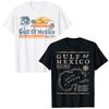 Gulf Of Mexico Since 1672 Historic Map Beach Tshirt Humor Funny Palms Summer Holiday Vacation Clothes Graphic Saying Tee Tops