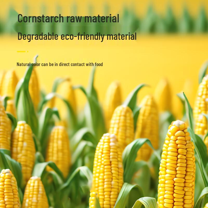 Zhīlù Biodegradable Round Takeaway Containers with Lid