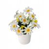 Artificial Daisy Flowers In a Pot Spring
