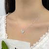 Naszyjnik z sercem z cyrkonii Flash Diamond Podwójne serce Łańcuszek obojczykowy Lekki luksus Wysokiej klasy Łańcuszek szyjny Temperament kobiety