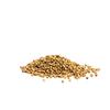 Kolendra ziarno 100g PREMIUM