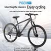 Feige Mountain Bike