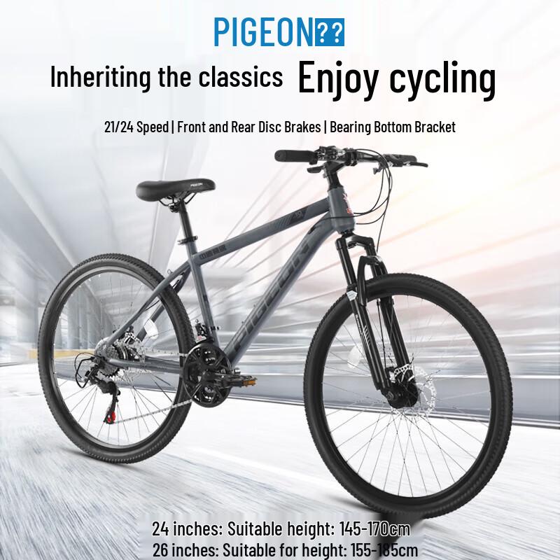 Feige Mountain Bike