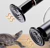 Reptile – Terarii pentru reptile