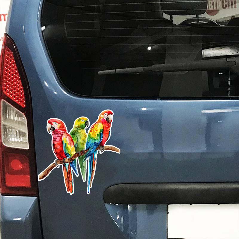 Autoaufkleber Aquarell Papagei Wasserdichte Vinyl-Aufkleber Auto Karosserie Fenster Stoßstange Dekor Motorrad Helm Aufkleber TM105