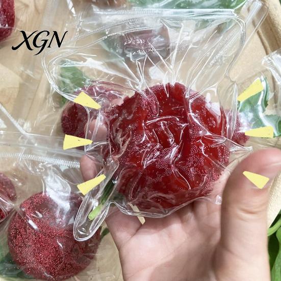 Kids Stress Relief Toy Realistic Waxberry Slow-Rising Squeeze Soft TPR Fidget for Healing Cute Fruit-Shaped Decompression Gadget Adults Tactile