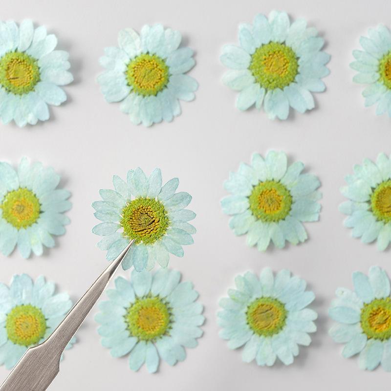 12 PCS/Set Pressed Dried Flowers for Scrapbooks Making Natural Flower For Epoxy Resin Pendant Necklace Jewelry Making Craft