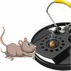 High-Sensitivity Alloy & Plastic Rat Trap for Home and Outdoor Use