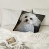 Adorable Fluffy White Dog Print Pillowcase - Luxury Home Decor, Perfect For Living Room And Bedroom, Ideal Gift For Pet Lovers