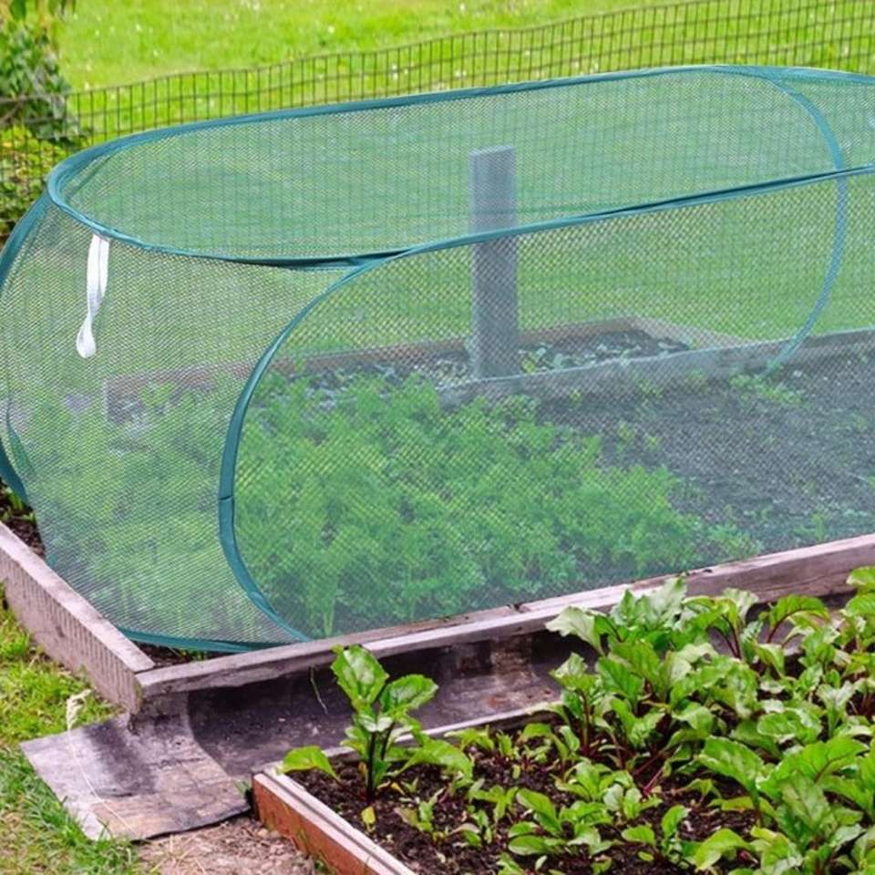 Foldable Plant Protection Dome Garden Pest Control Netting Cage Anti Bird Rabbit Insect Mesh Cover Vegetable Balcony Protector