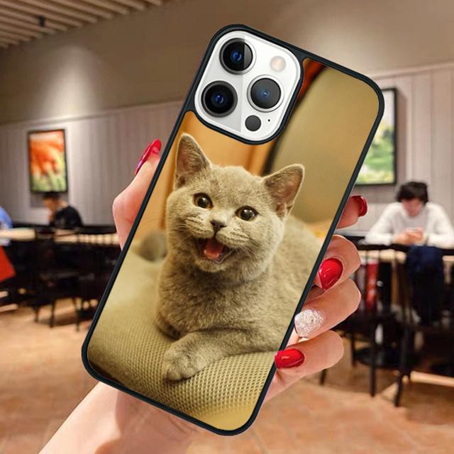 Beautiful Grey British Shorthair Cat Phone Case For iPhone 17 Air 13 12 14 15 16 Cover For Apple Pro Max Plus