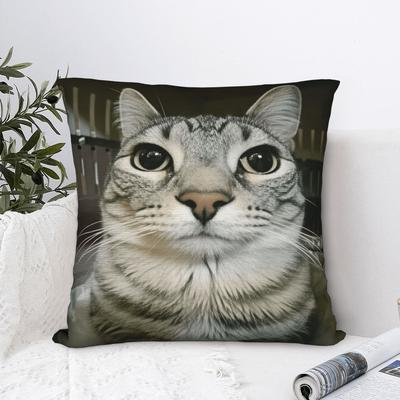 Pet Cat Funny Memes Pillow Cover Comfy Cushion Cover Fashion Pillow Case For Sofa Car Home Decor