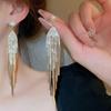 Inlaid Rhinestone Flowers Long Tassel Women Earrings Temperament Silver Needle Exaggerated Zircon Drop Earrings Sparkle Jewelry