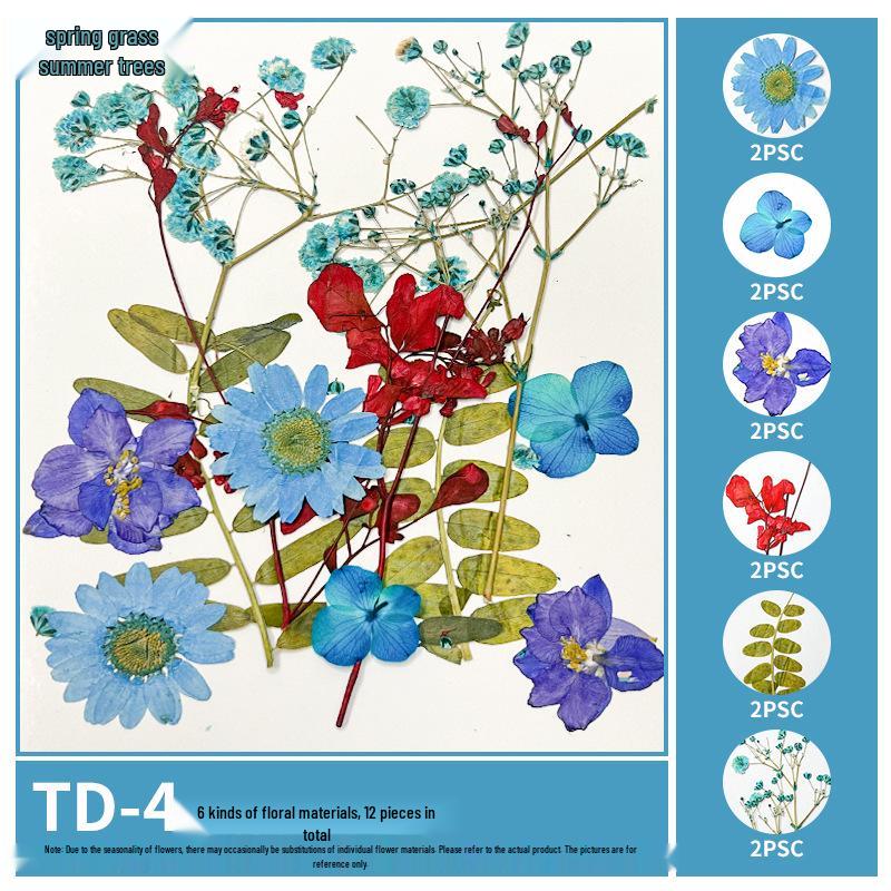 Handmade Pressed Flower Bookmark and Epoxy Sticker Pack with Real Leaf and Plant Specimens for DIY Face Makeup.