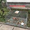 Large Outdoor/Indoor Cage for Rabbits, Chickens, and Pigeons - Model 862VxSFvH7