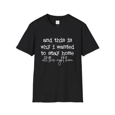 And This Is Why I Wanted To Stay Home All This Right Here T-Shirt