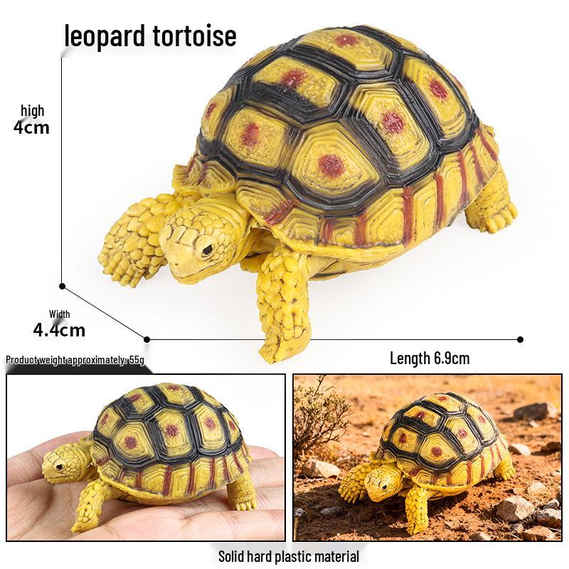Children's Cognitive Marine Animal Models: Sea Turtle and Tortoise Toys