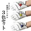 Tabata Score Counter Easy Lucky Ladybug Counts Golf Set - Operation, Large, Easy-to-Read Numbers, Design, 1-9 Strokes, Non-Reset Type, Accessory,