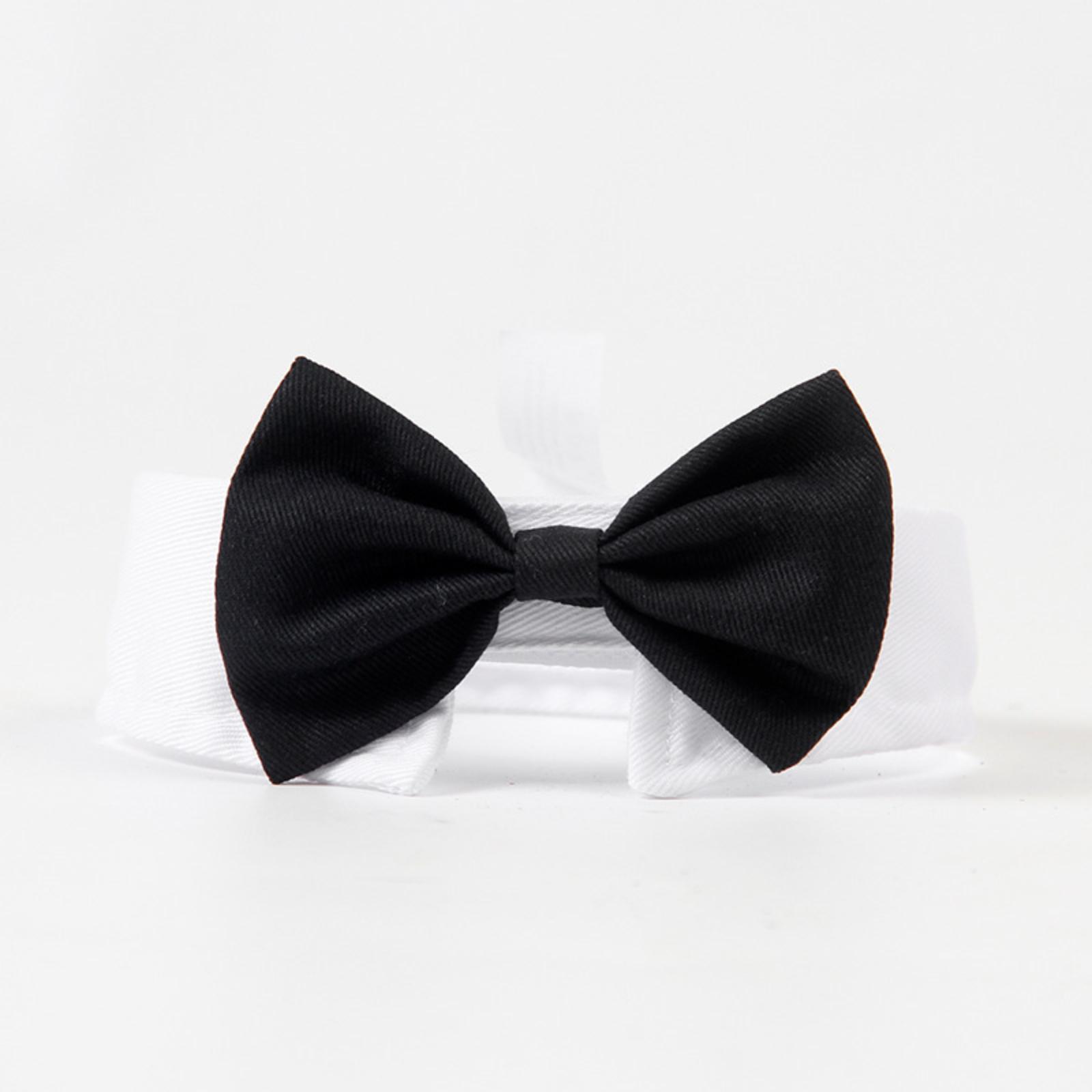 

Аксессуары для питомцев Галстуки-бабочки и галстуки для собак Очаровательные галстуки-бабочки и шарфы для питомцев One Size чёрный