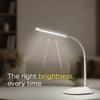 6W LED Table Lamp, with 3 Grade Dimming, Flexible Gooseneck Design, LED Portable Desk Lamp for Study, 3 in 1 Color Changing