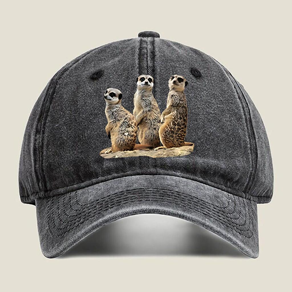 Erdmännchen-Trio Wildtier-Fandom, Süße Vibes verbreitend Gewaschene Baseballkappe Outdoor Für Damen Unisex FeUnisex Mode Dad Hat Hip Hop