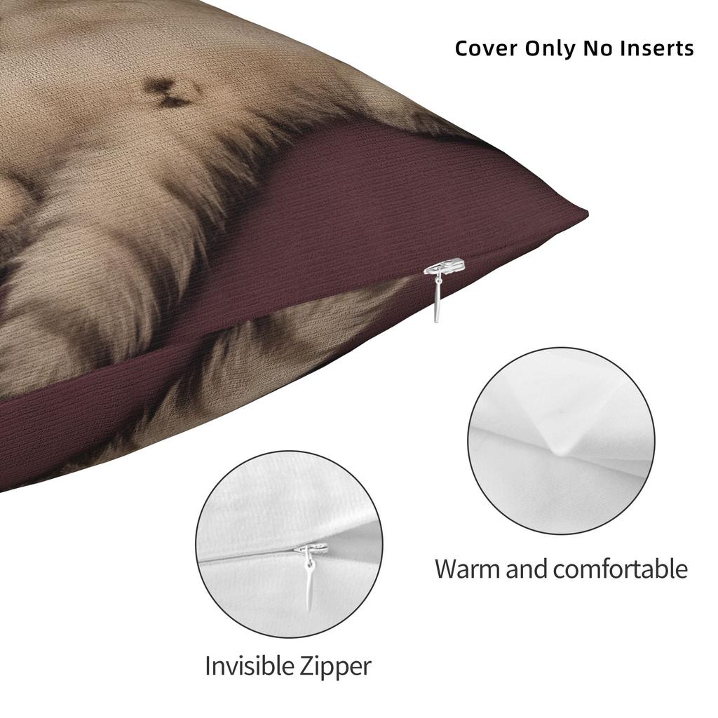 Lazy Tabby Cat Lounging Pillow Cover Soft Cushion Cover Morden Pillow Case For Chair Sofa Home Decor