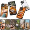 Phone Cover Hedgehog Fox Coque for Samsung Galaxy S25 S24 S22 S23 FE Ultra Plus A56 A05 A06 A15 A16 A55 S7 Edge Case