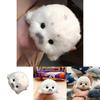 Marine Life Plush Toy Cute Seal Baby Stuffed Animal With Keychain For Kids And Collectors