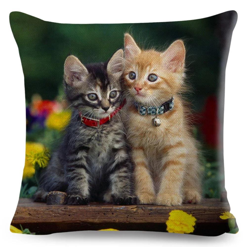 Funny Cute Cat Cushion Cover Decor Lovely Pet Animal Print Pillowcase Polyester Throw Pillow Case for Sofa Home Car 45x45cm