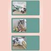 Snake Plush Teaser Cat Toys Bite-resistant Molar Interactive Catnip Chewing Playing Toy Cat Supplies
