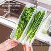Food-grade Storage Box for Large and Small Scallions, Coriander, Whole Ginger, Garlic, Noodles, Eggs, and Refrigerator