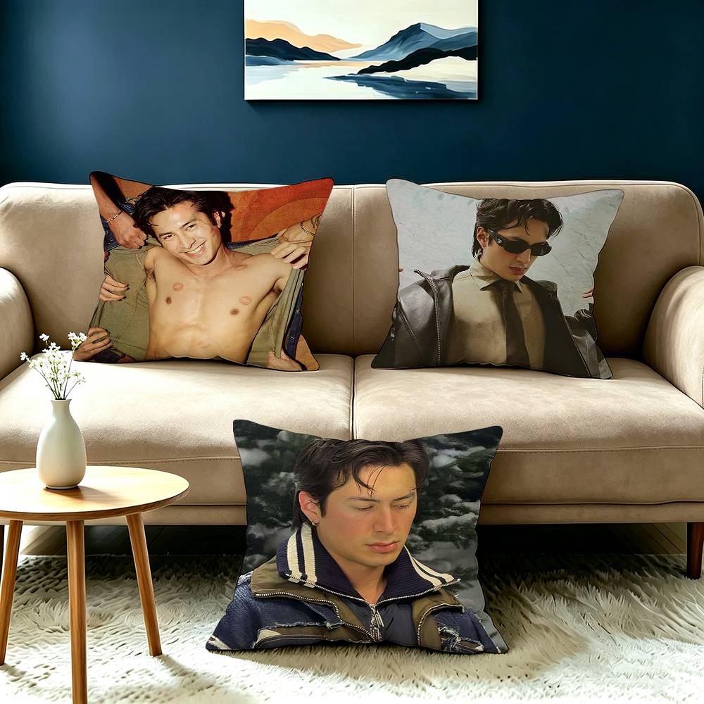 Hudson WWilliams SShane Hollander Pillow Case Square DoubleSided Sofa Cushion Cover Bedroom Bedside Pillow