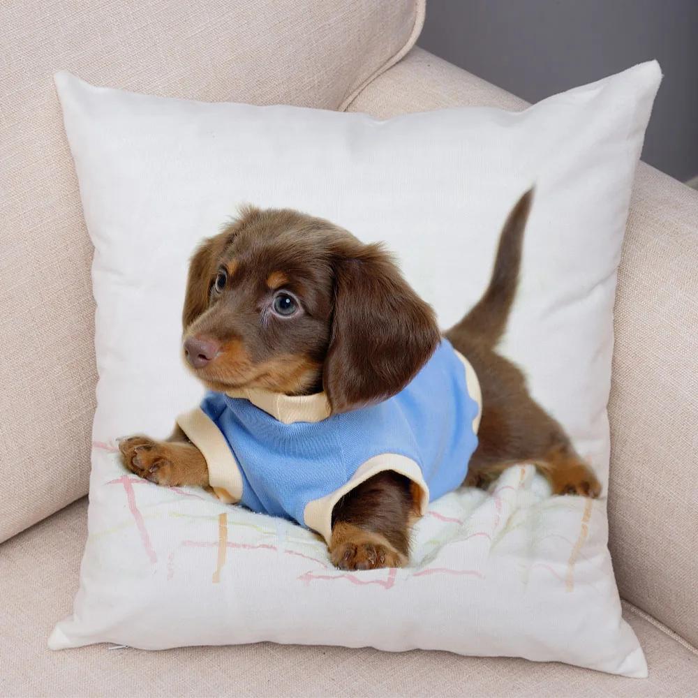 Mini Dackel Hund Kissenbezug Dekor Haustier Tier Kissenbezüge Superweicher Plüsch Kissenbezug für Sofa Zuhause Kinderzimmer 45x45cm