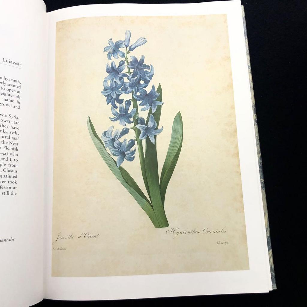 [USED] Pierre-Joseph Ledoute Art Collection "Fairest Flowers" 1987