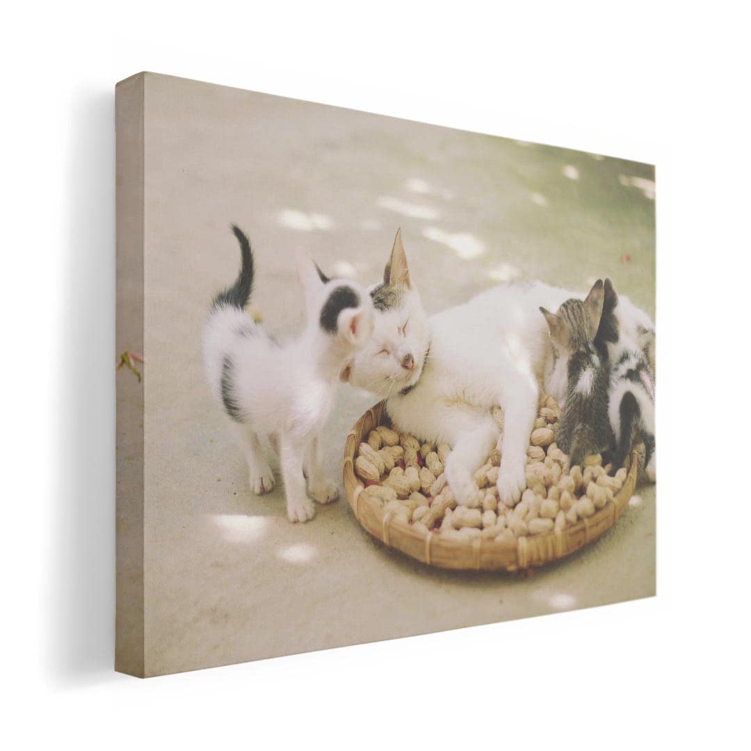 

Art 420mm x Wall Wooden Stylish Interior Animal Photo Panel, Picture, Painting, Decoration, igsticker, 297mm, A3, Photo, Hanging, Frame, Decor,