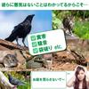 AZ4U Animal Ultrasonic and Bird Solar Pest No Power Supply IP65 Waterproof Repellent, LED, Cat, Dog, Repellent, Charging, Control, Yasasino, Required,
