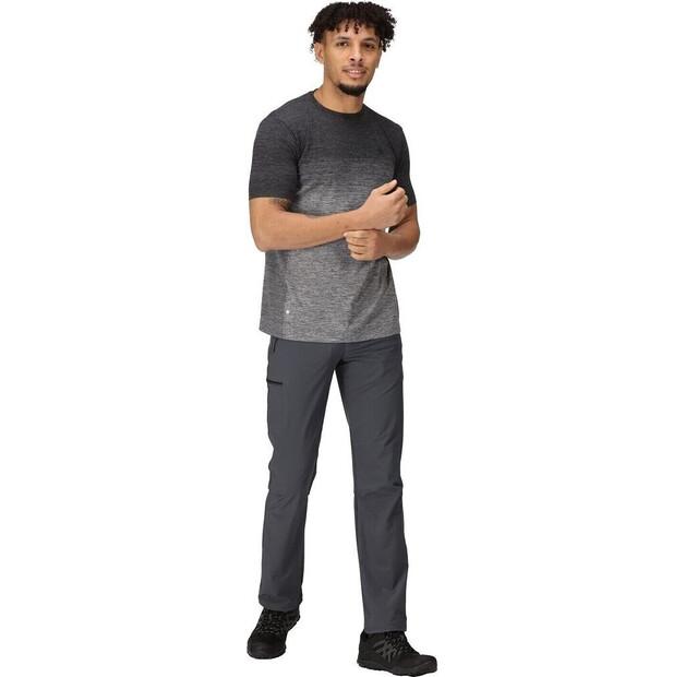 Брюки Regatta Xert III Stretch Pants seal серый