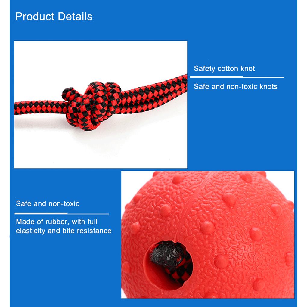 2 Stück/Set Sicherer und geruchloser Hundeball - Vollgummispielzeug für Training, Zahnabrieb, Trainingszubehör