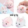Cute Plush Wind-up Animal Toy Running Piggy Bunny Doll For Kids Plastic Material Visual And Hand-eye Coordination Development Interactive Play