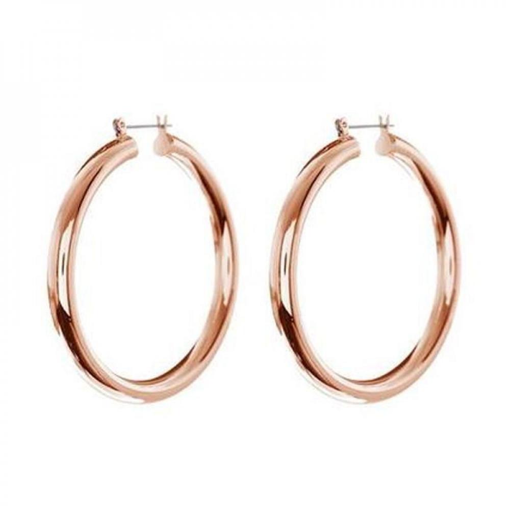 Hoop Earrings for Women, Ins Trendy European Style Niche Design Elegant High Grade Fashion Jewelry