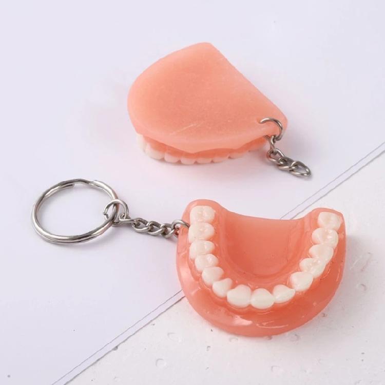 Mini Tooth Model Shape Keychain Bag Ornament Backpack Charm Pendant Car Keychain