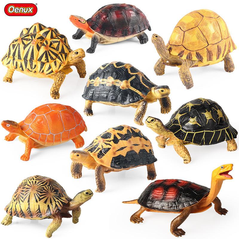 Crab Turtle Squid Salamander Hairtail Salmon Shark Marine Life Model Ornament