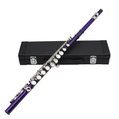 16-Hole Concert Flute Set C Key Woodwind Instrument with Gloves Mini Screwdriver Padded Case