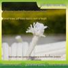FiveBrothers Wax Cotton Rope for Flagpoles & Clotheslines